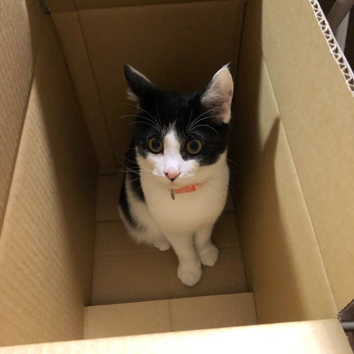 400686f1 e4cc 4b61 8808 56dae0cf9ebd 1615645727596