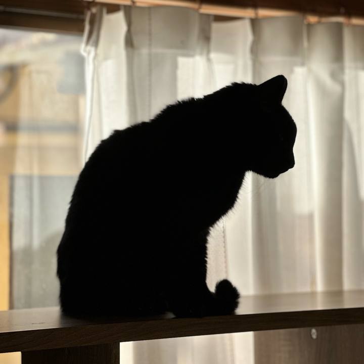 40068967 8ed1 408a af14 25fa456660da 1706148596223