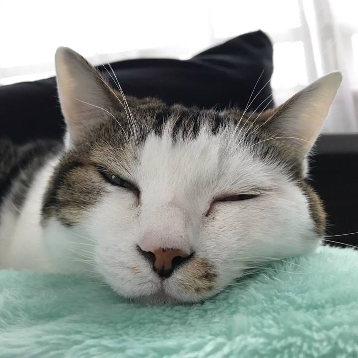 40068e87 f41b 40ad 8c67 23eca7723b34 1542695052030