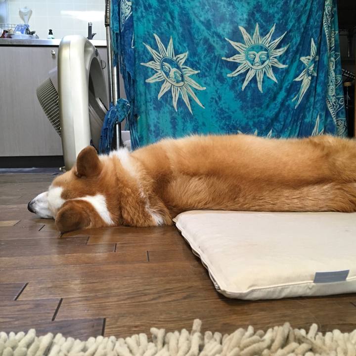 4006b971 1745 4062 90f0 de47b21b2472 1532307225199