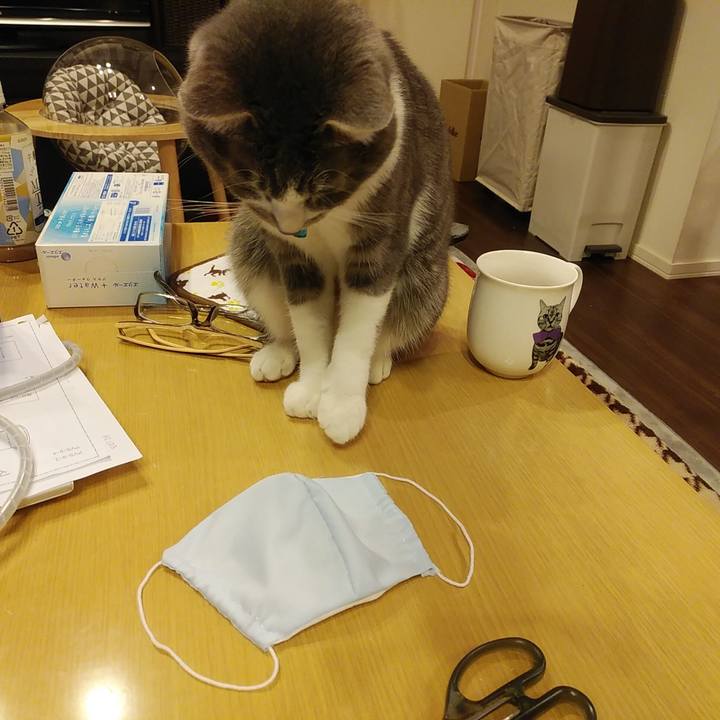 4006de1e 285e 446e 9b9c 651631275dc9 1586873355947