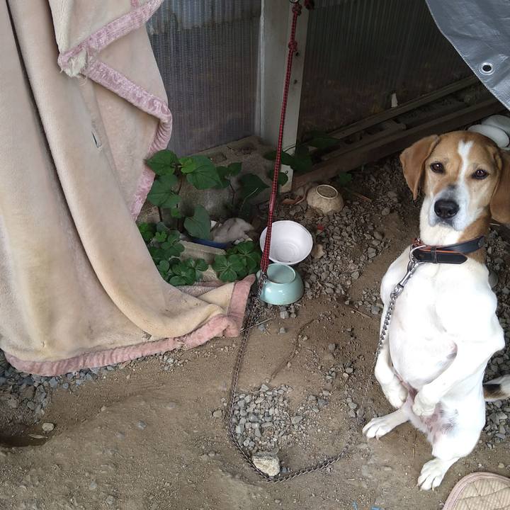 4006f326 39ac 4525 8adc 510bf970c72f 1651815098268