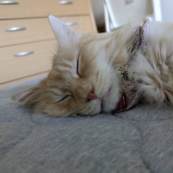 400722e5 9887 4047 883b 9b6b43c74dc3 1755742866002