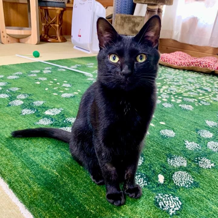 40072bdc 99c1 4ccc 85af 055750923121 1655270440936