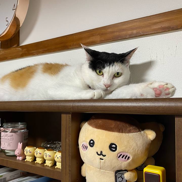 40074432 41f5 4532 9ec3 3f0a791af34c 1720317584379