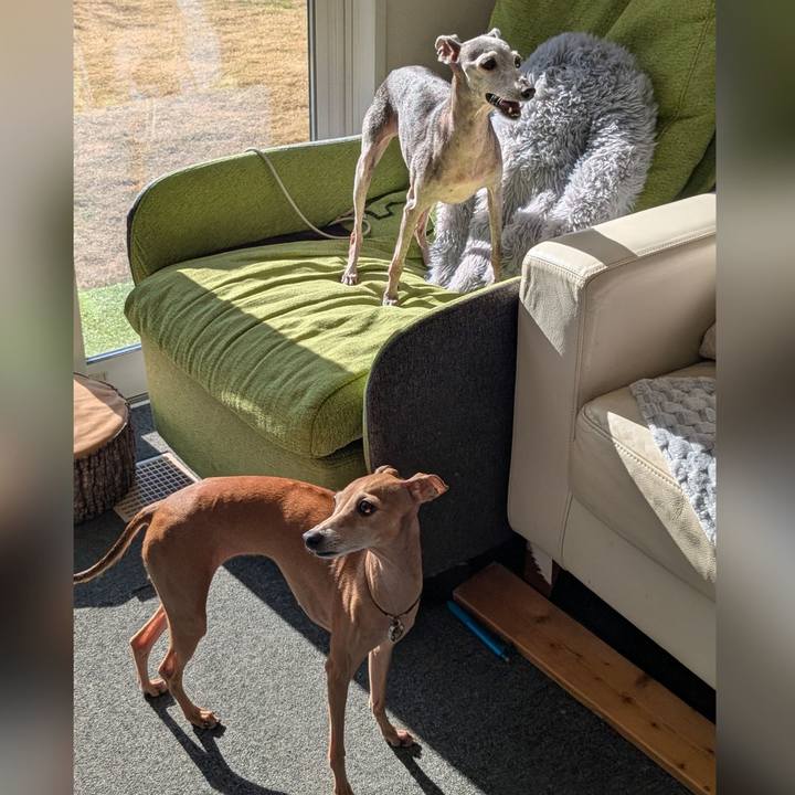 400756b2 3f5a 4b5c 8ce9 470d5bd2e86f 1768468563063