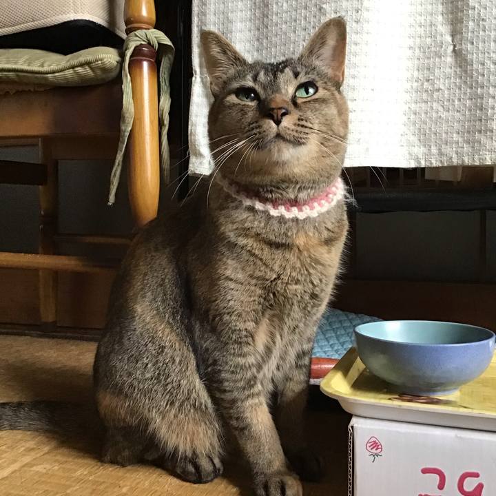 4007829e fc24 40ab a0ff 458548a665d9 1653963075287