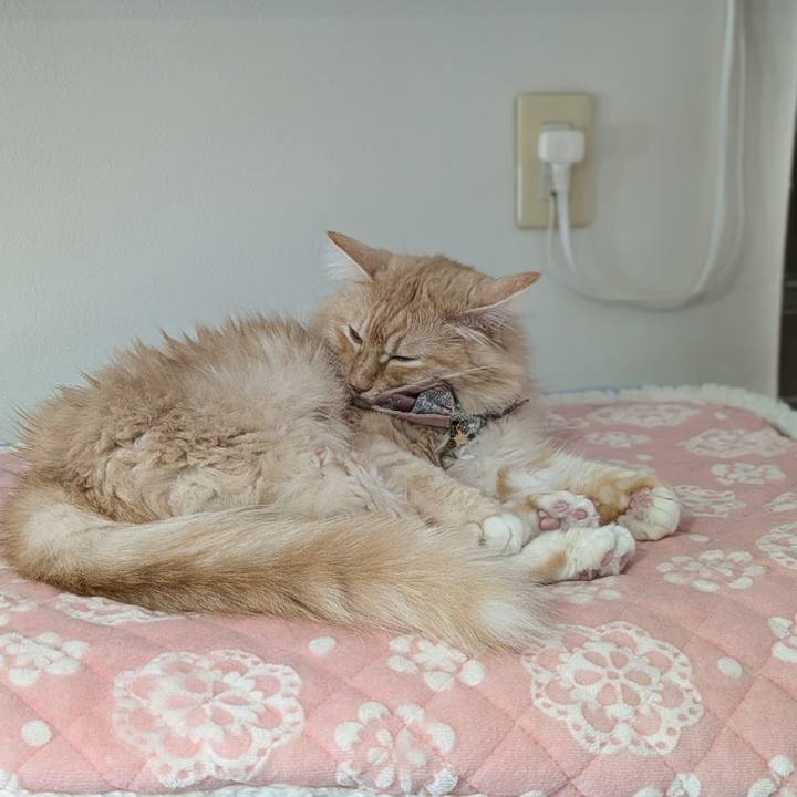 40080ef2 8230 4851 8e9a d7c944ddffd8 1729741265117