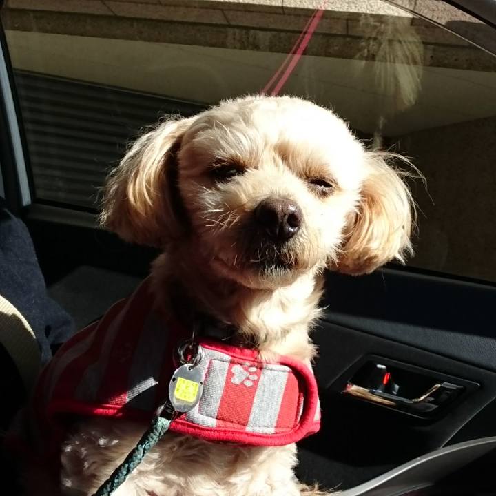 40081e90 dc75 49fe b922 be4557a28e4c 1581398014282