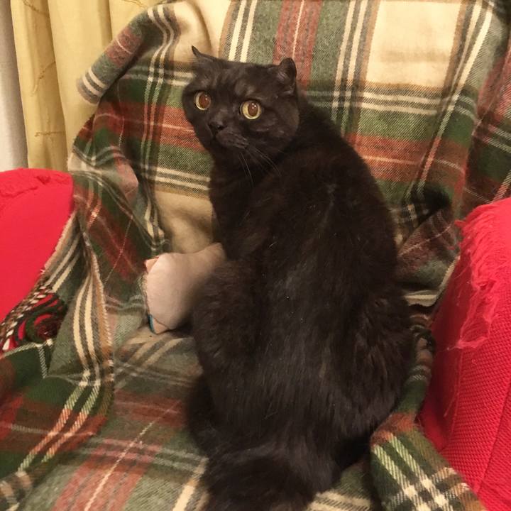 40082443 04b1 47b2 90f9 12fa8112065a 1560347582974