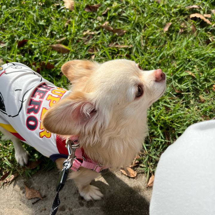 40086945 667d 464b be95 f7a8daef75e8 1729342876208