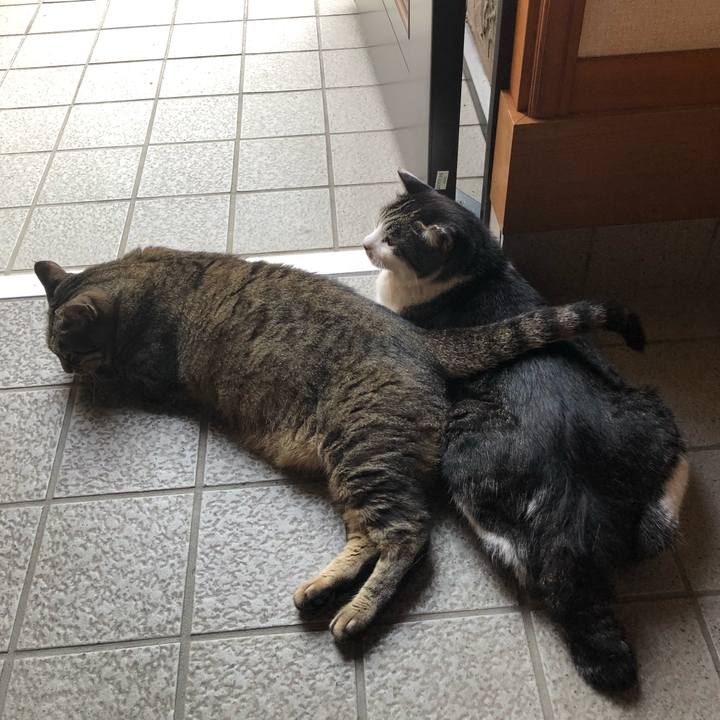 4008a781 bbb2 45c5 808e 3bb128981680 1532085147498