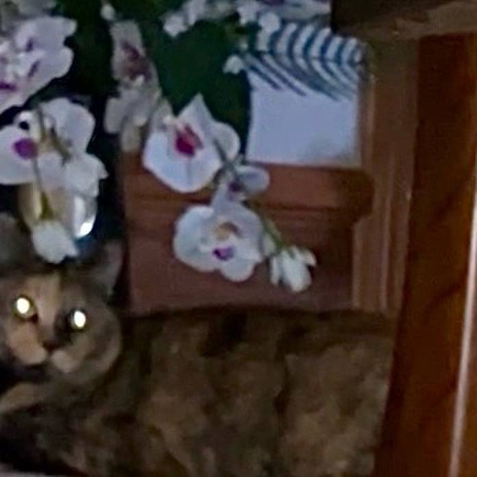 4008dfd0 0c47 4d93 91d0 ac73812f0af6 1729196699335