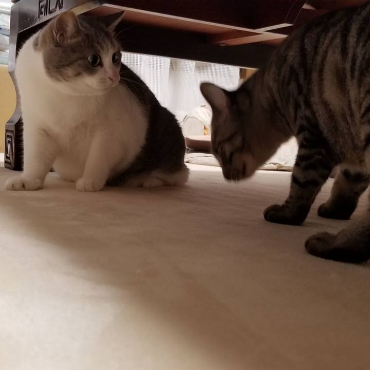 40090814 48e1 4bc6 97c9 56f59ea2f43f 1690030413018