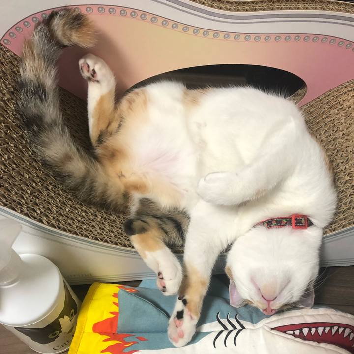 40090975 fd1f 46f6 873b 1837573890b6 1569504453425