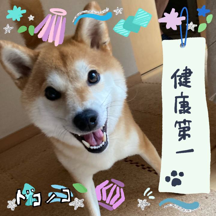 40092864 b326 4046 be51 b635db63854b 1720860318542