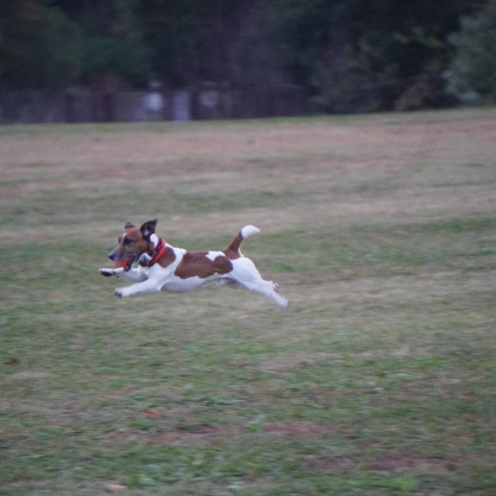 40092a94 d0ca 4115 9ed0 93052b878aa6 1573684320794