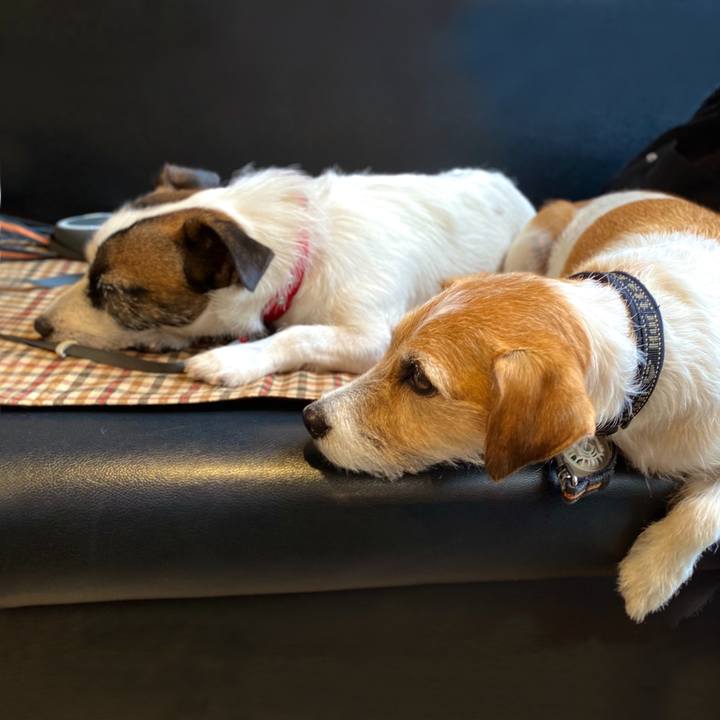 40094259 1f58 4783 a393 a775e9c62433 1606307545291