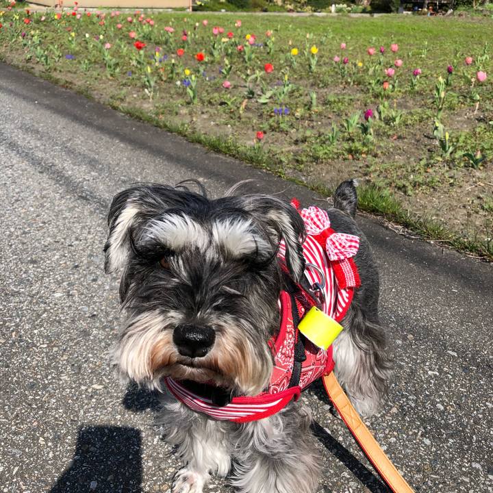 40095385 94ac 429d 909a 249846498215 1586347583512