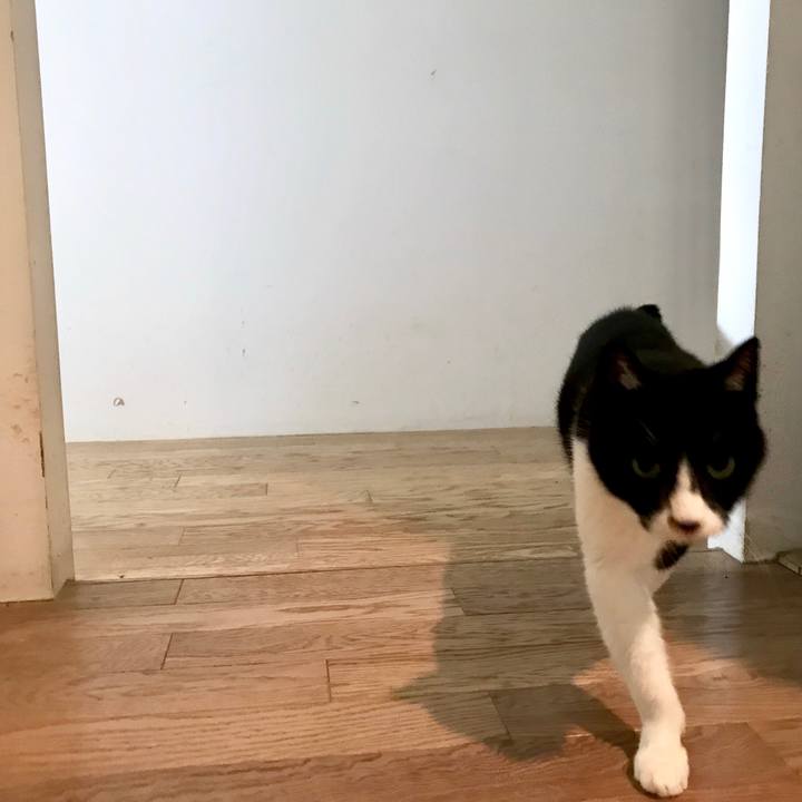 40095bd4 488e 4148 8bc2 7eb963e140fd 1556151294270