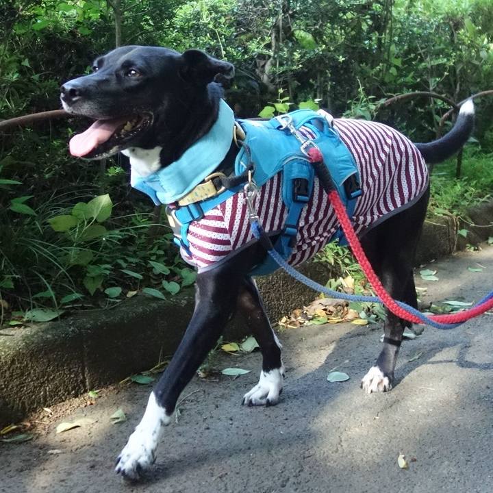 400970cd ad9b 4b83 bd09 86cc2825607a 1628554393617