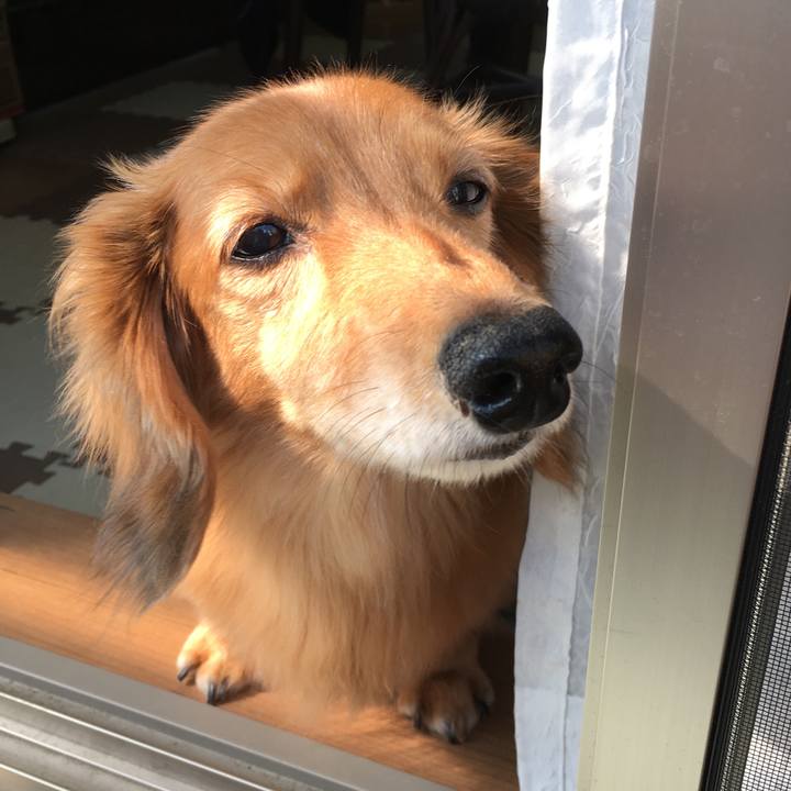 40097907 e40f 4dc1 bdfd eda2fdb7aa28 1599561156985