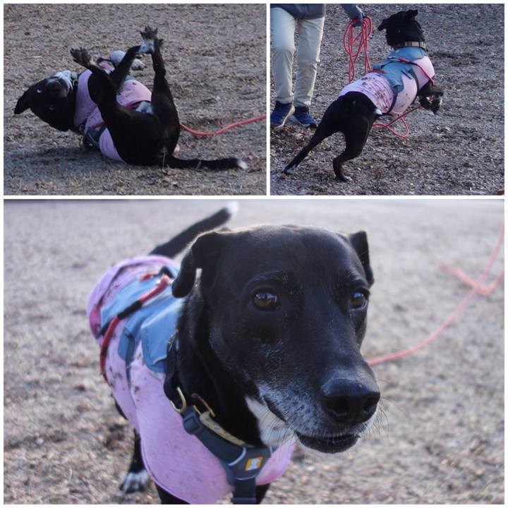 400a0603 6fac 4f81 a4b0 e3ce8d743ac7 1705280533763