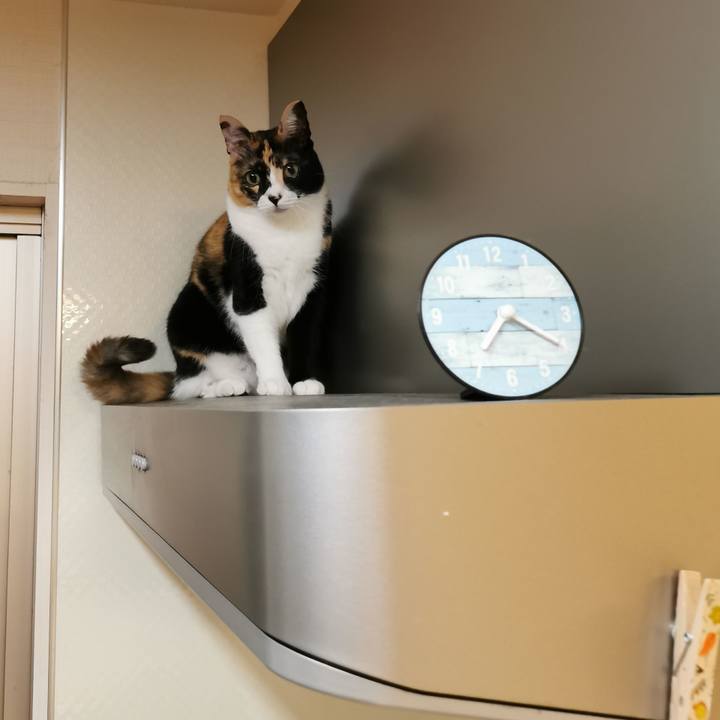 400a1015 6e4d 4301 bc19 3e5d1e2909bc 1665811776539