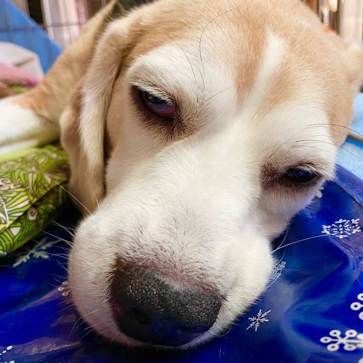 400a2aaf e01a 4383 8086 11f5bb859f9f 1597117719088