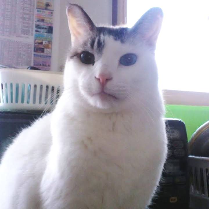 400a419f d039 49af 9b8f b932abed4e48 1700092355170