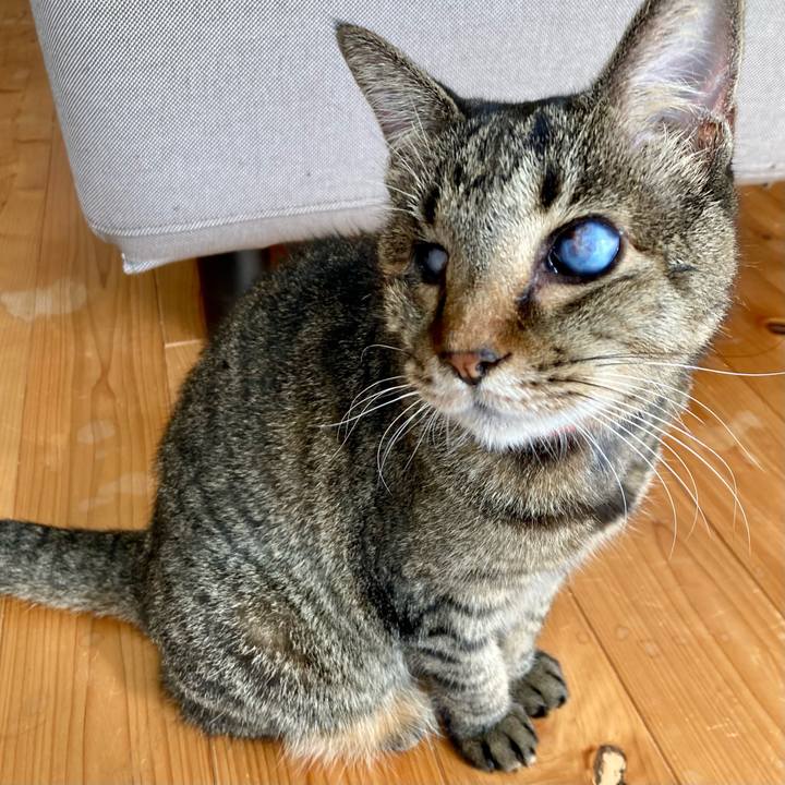 400a7fc7 a624 443f bfb3 3ab28485b358 1635213298267