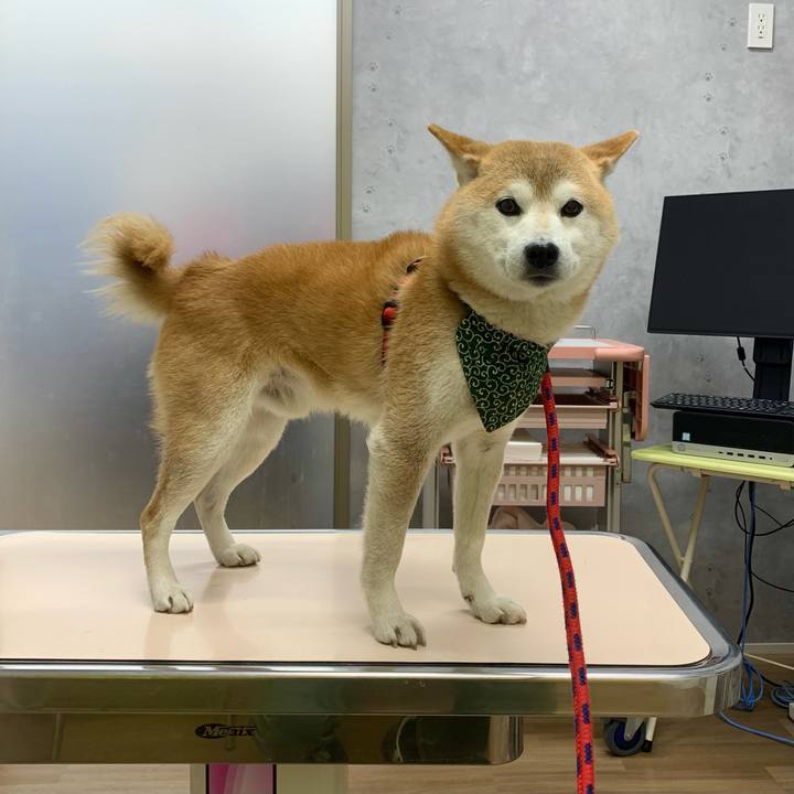 400a82c3 1399 49fb 95de f61c76729c69 1675927299952