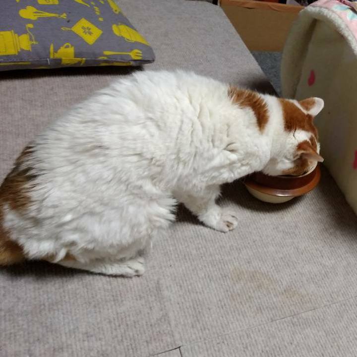 400ab28e 8ee0 4388 b520 399cfed5434b 1614858079625