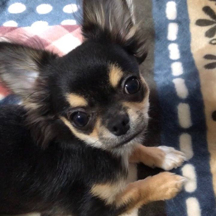 400b241c 561c 450b 8d15 43f4fbb9bce3 1541242306495