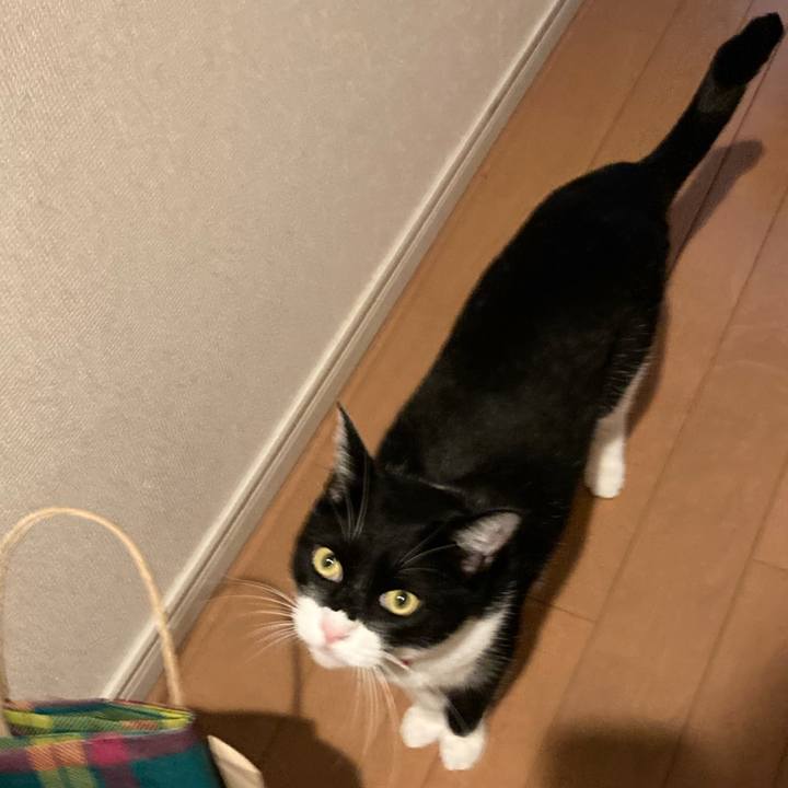 400b4967 21c7 4a6e 85aa 762a333cc6da 1658624019072