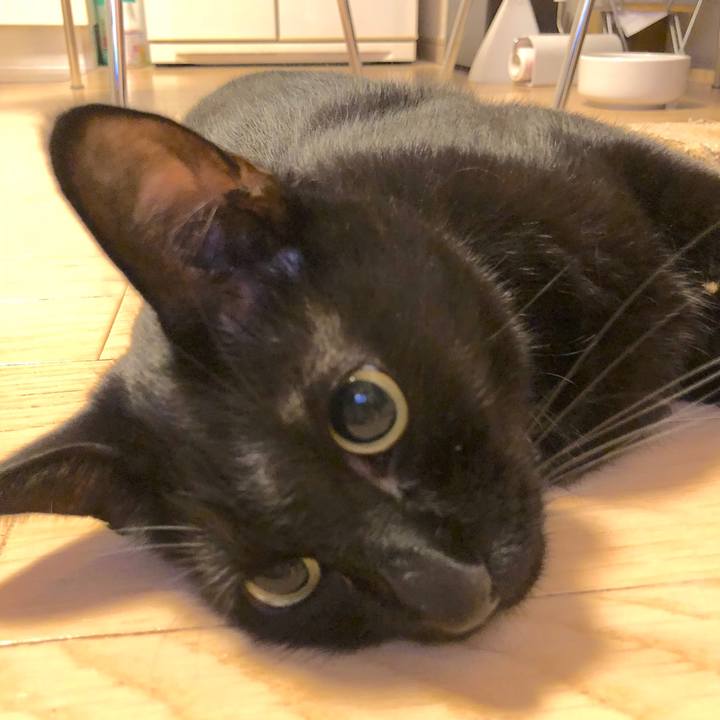 400b6280 600e 47ce 9f44 8a9ee5349a86 1537451427234