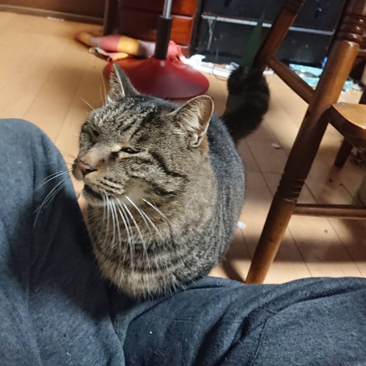 400b67d1 2bcb 4158 a507 b6911d4b9e6c 1639570043324