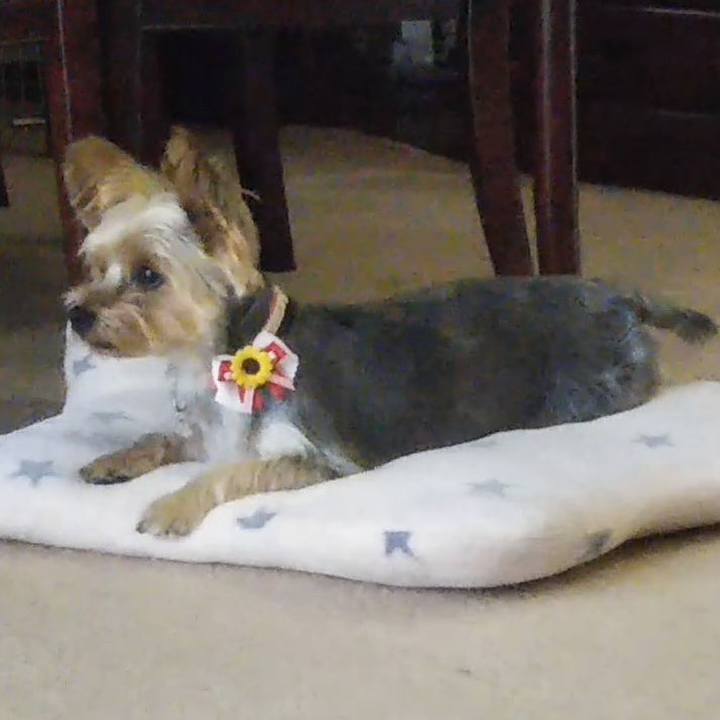 400b6980 372d 44fb 89da a5e10c8dc1c2 1661555649746