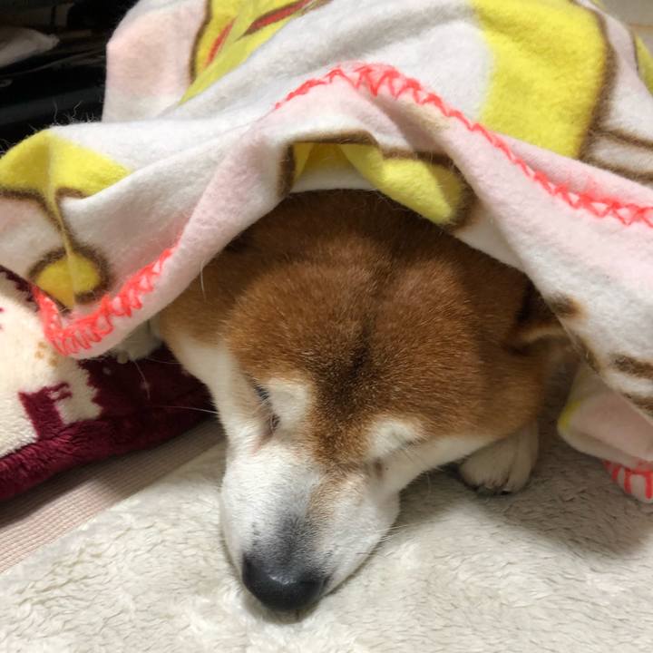 400b7c29 9bfc 434a 8434 bfae57f2eabf 1553224449667