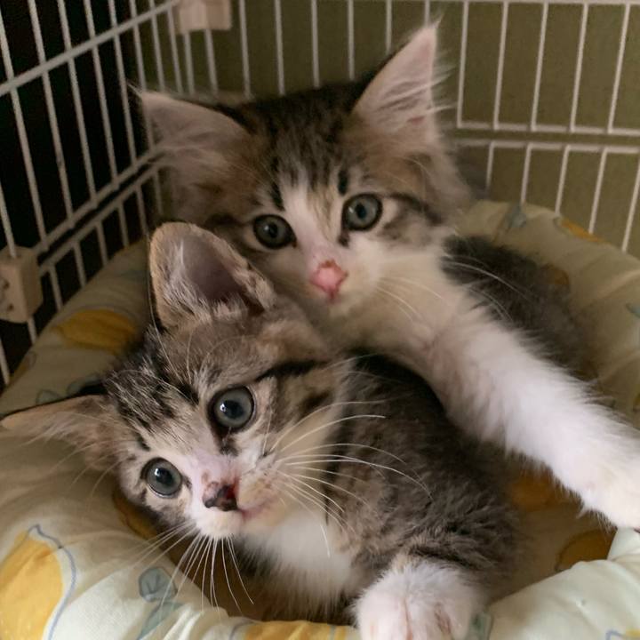 400ba267 080f 462a bfd2 6b3295ab175b 1686896289103