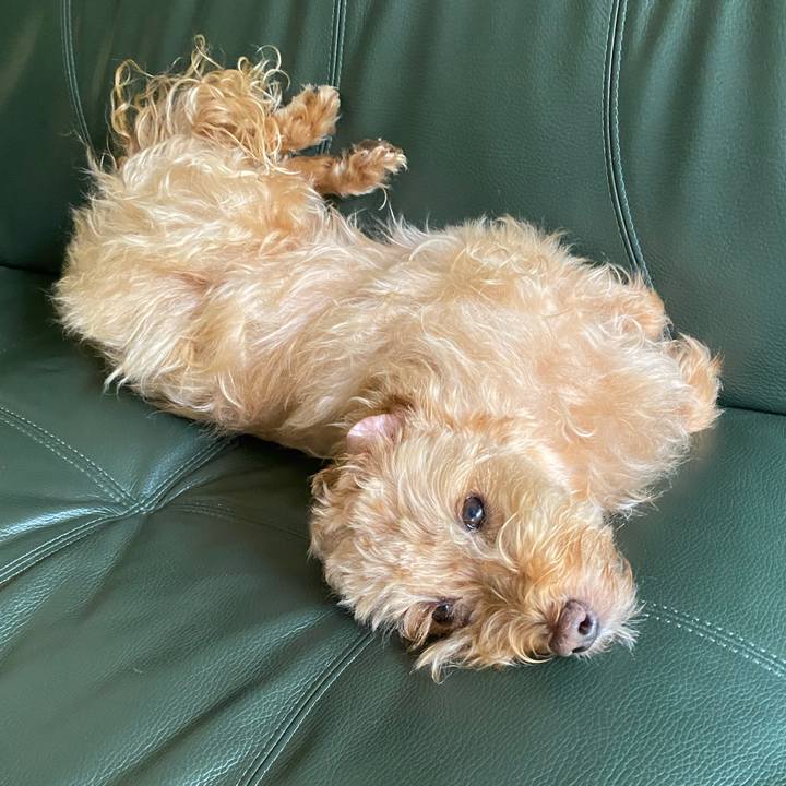 400bae0d 51c4 44d2 ab17 a58d859f7b68 1691539245930