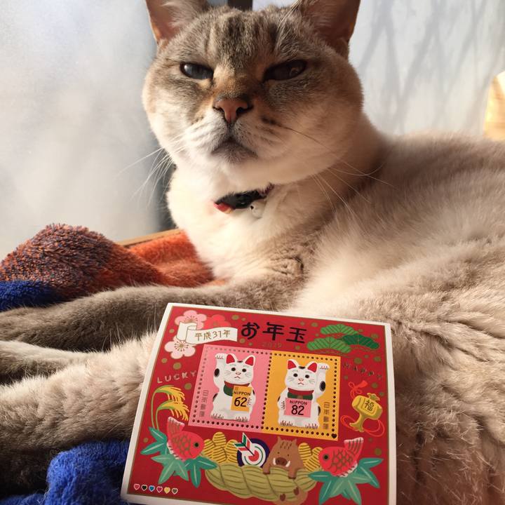 400bc30c 214c 4601 862f 861a031658d3 1548206329292