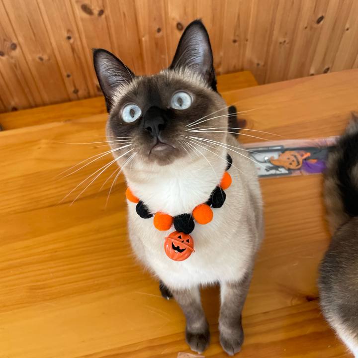 400bde40 d0ec 420e b301 6c8f2cef707f 1727074856431