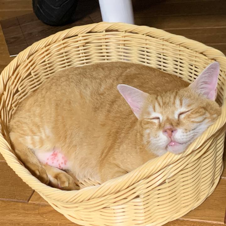 400c22b2 2e99 4180 9c84 13a3a3f11137 1664099195047