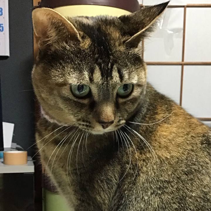 400c7054 8a0d 4c9f bb56 c330d5b1e32c 1676724800248