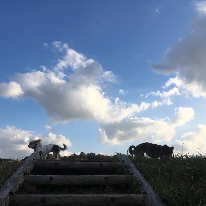 400cd50c 27f4 4eb4 a88b 79636a7f0fdf 1543061728233