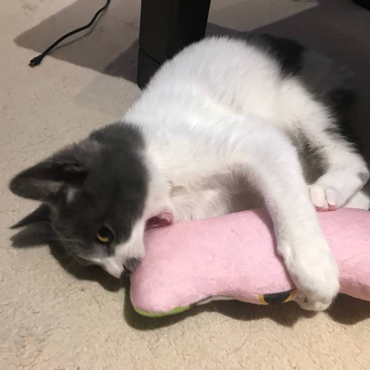 400ce0ff 093d 4bf7 b8f3 5bb5eff7ef66 1628225729264