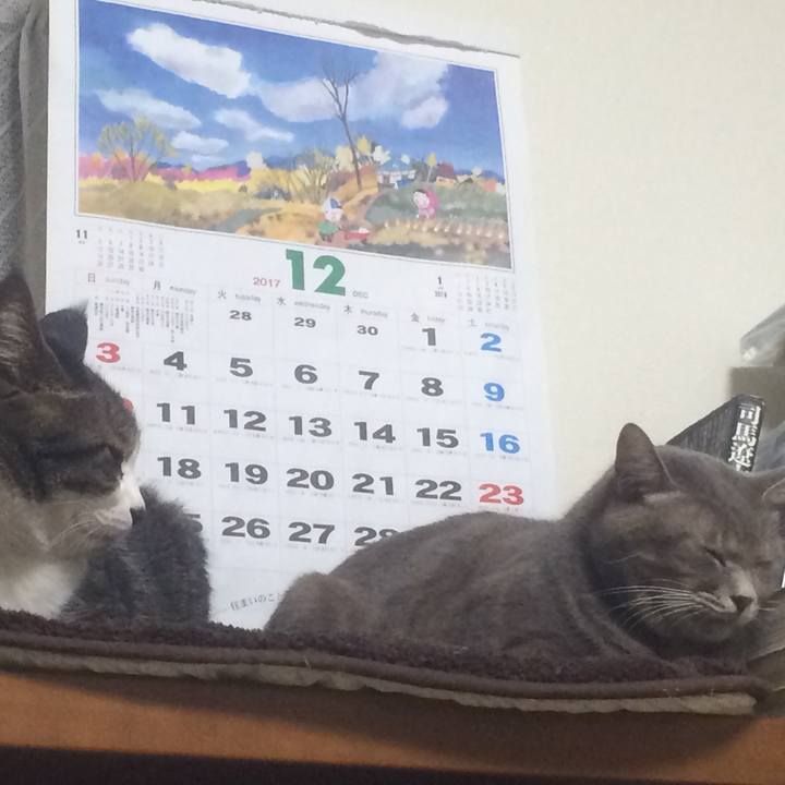 400cf540 a404 4967 8639 31c14bd48856 1514216685621