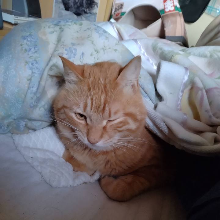 400d06c3 cd0d 4ab3 91fc 1f52ea3c55e8 1679525261989