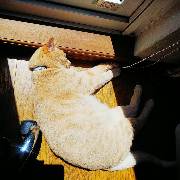 400d1224 1244 430e a68f 196304c08617 1622431786039